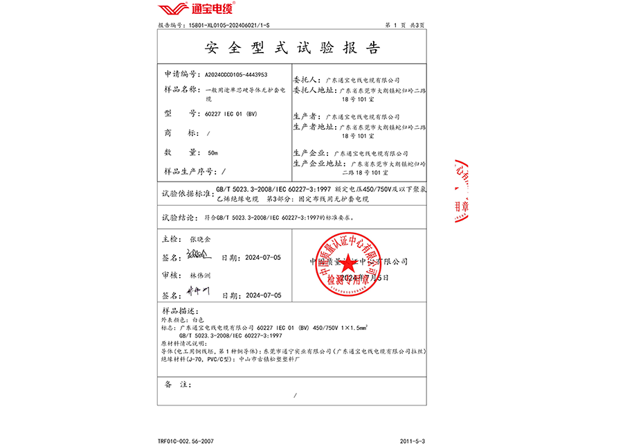 安全型式试验报告