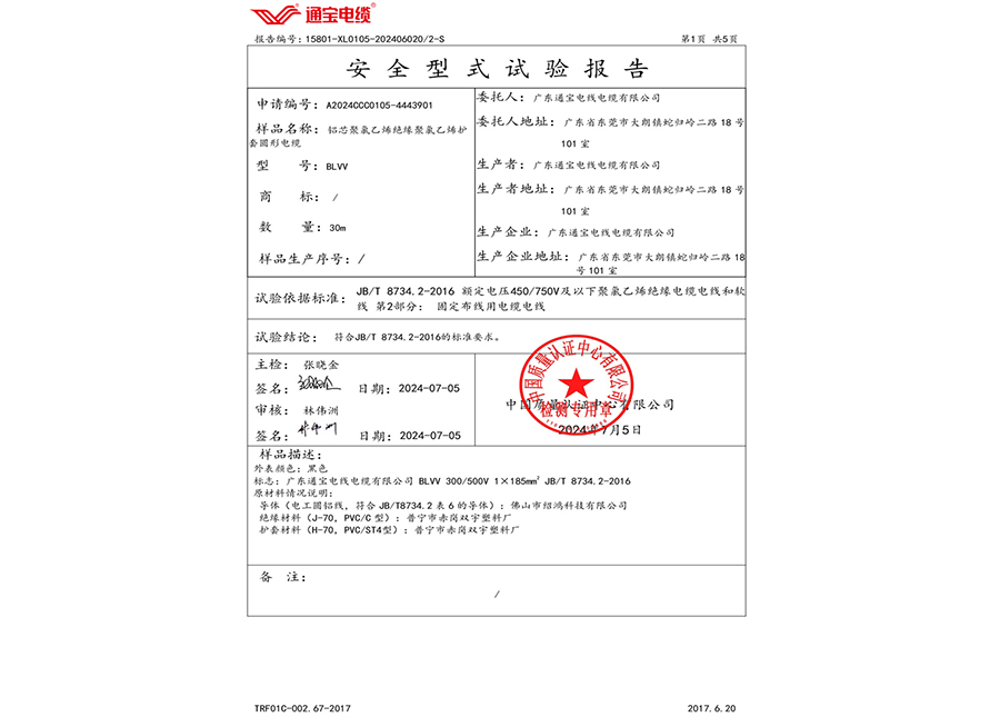 安全型式试验报告