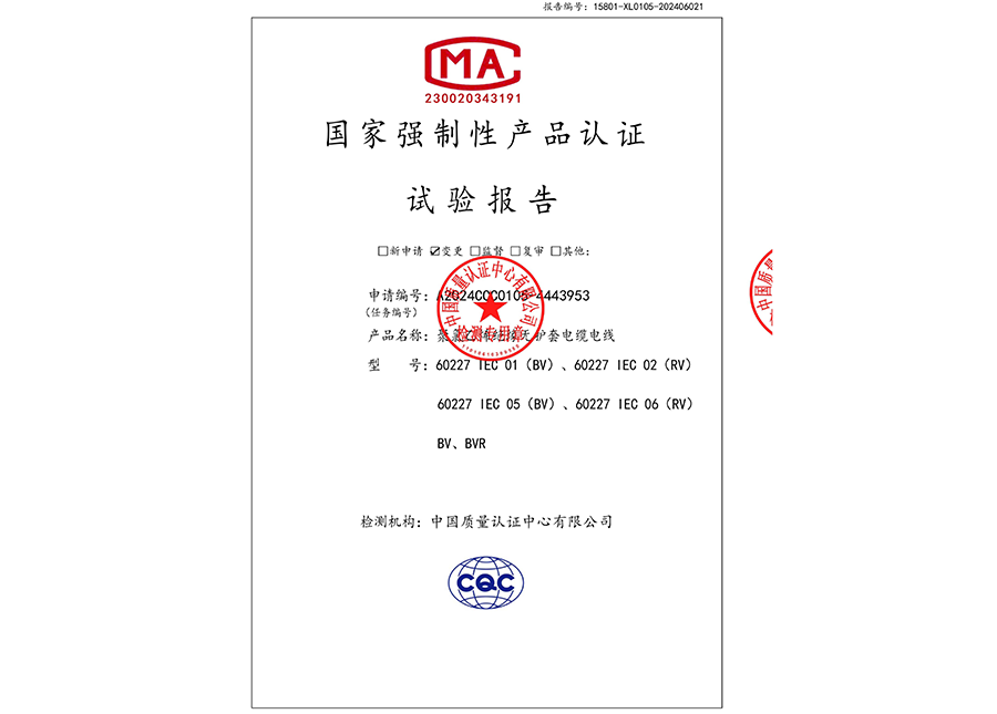 国家强制性产品认证试验报告