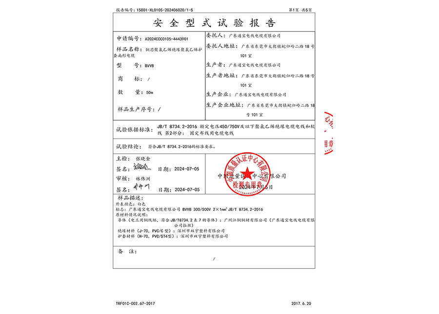 安全型式试验报告