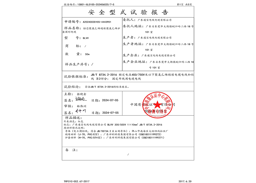 安全型式试验报告