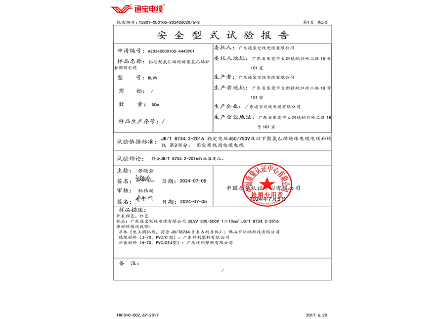 安全型式试验报告