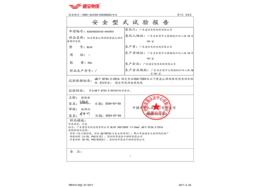 安全型式试验报告