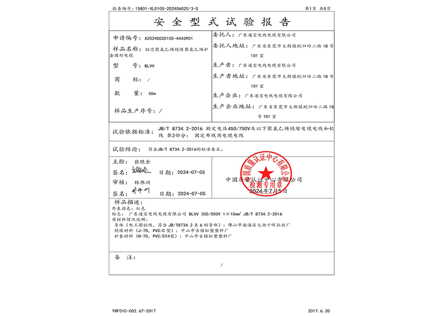 安全型式试验报告
