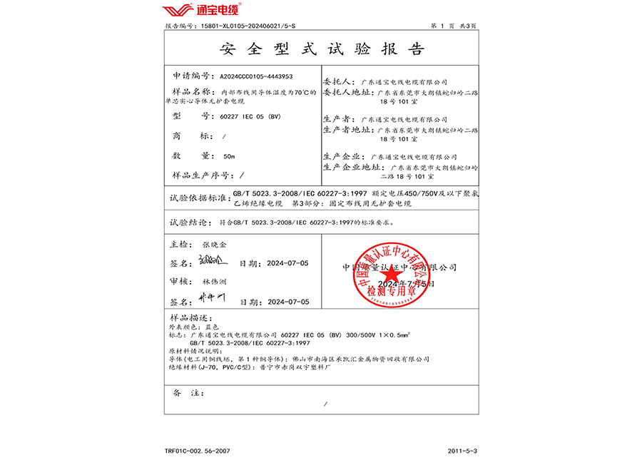 安全型式试验报告