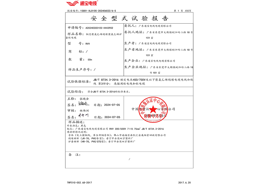 安全型式试验报告