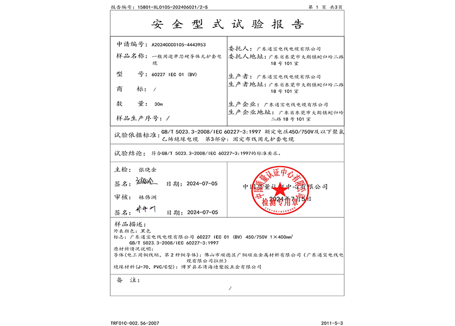 安全型式试验报告