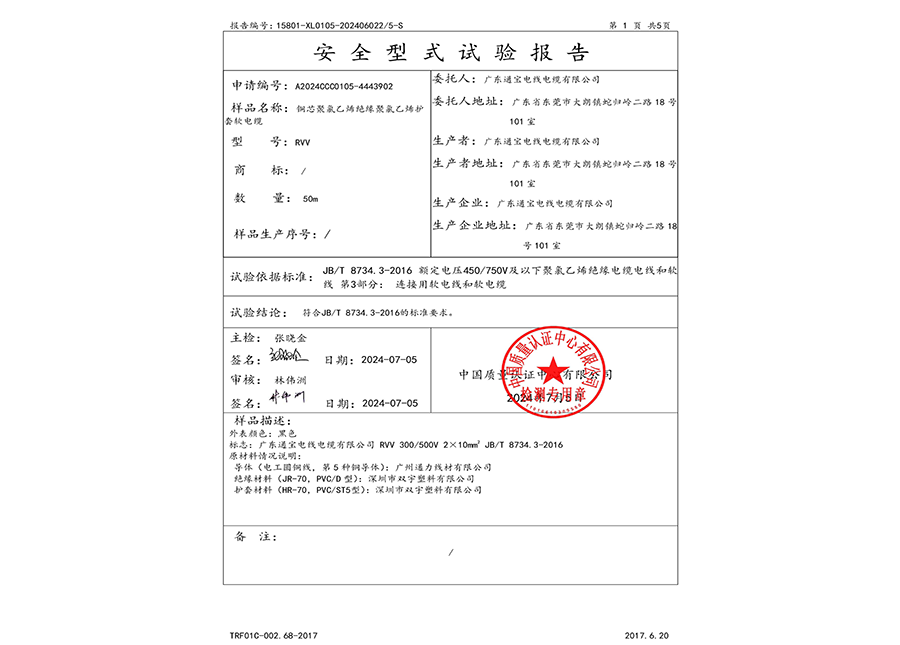 安全型式试验报告