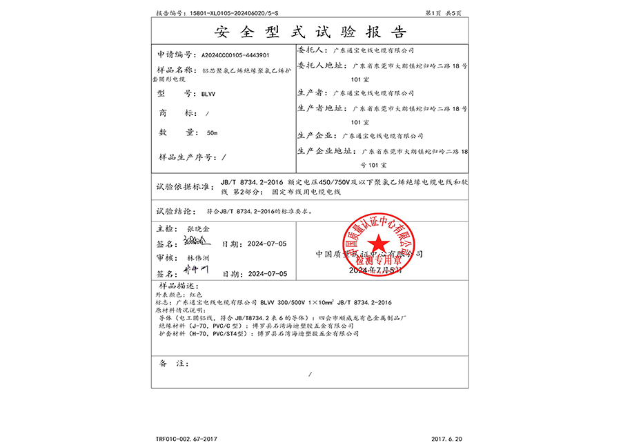 安全型式试验报告