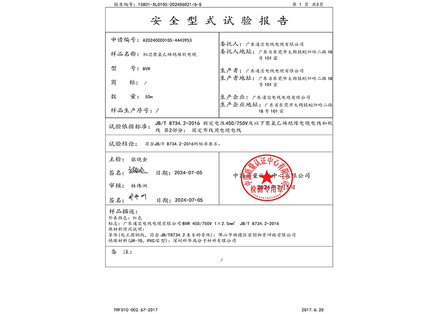 安全型式试验报告